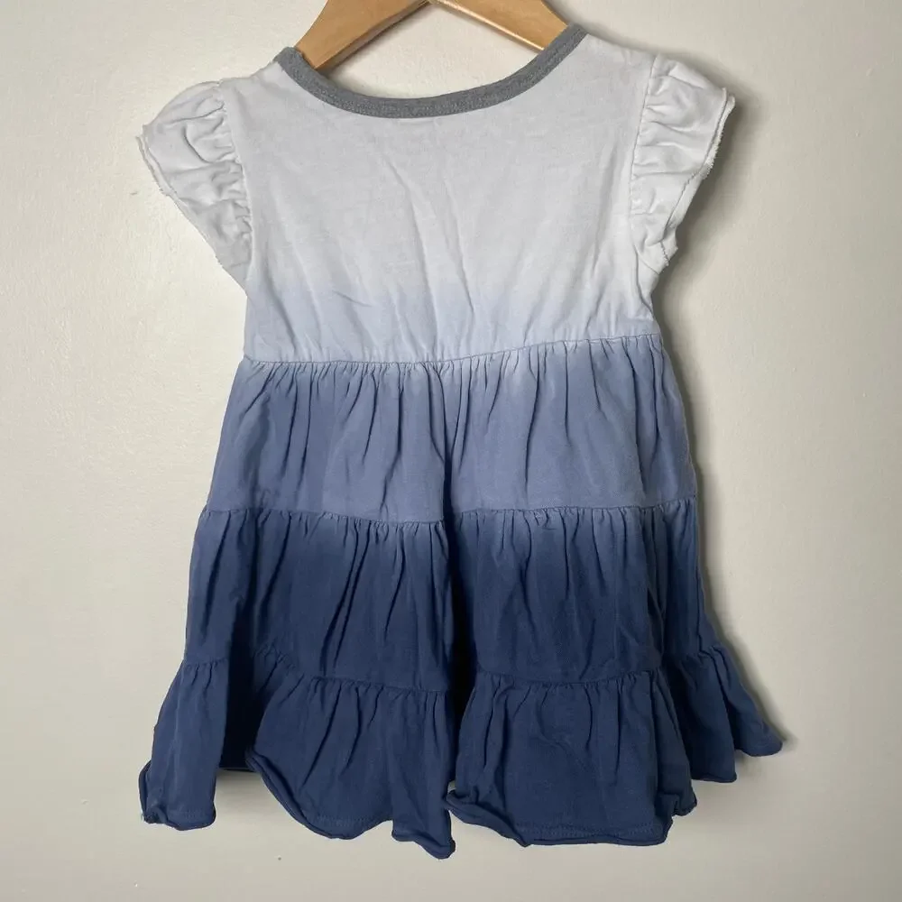 Burt's Bees Baby Ombre' Ruffle Dress 12M